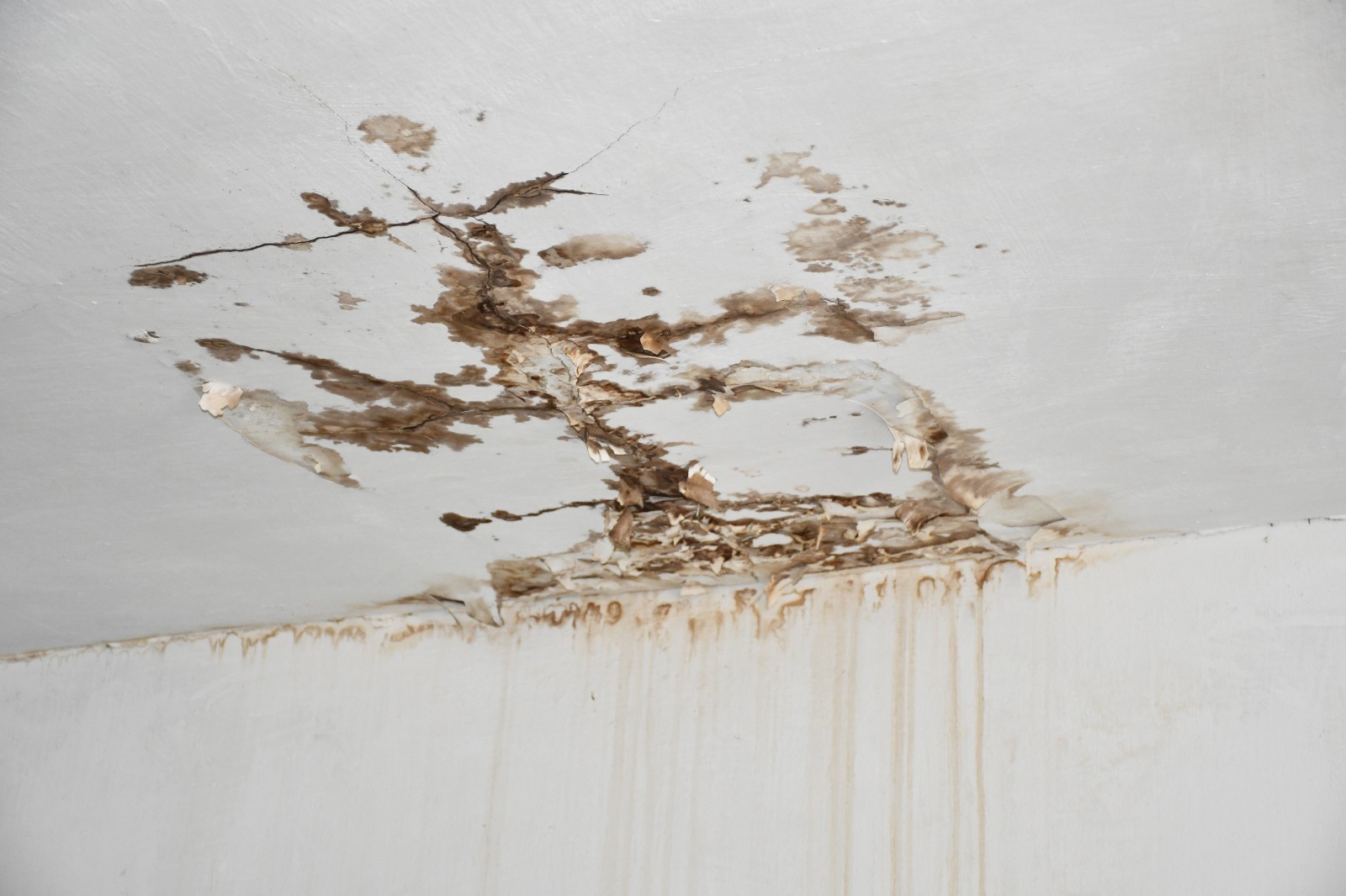 WhatsApp Image 2020-02-10 at 11.22.43 AM.jpeg.jpeg